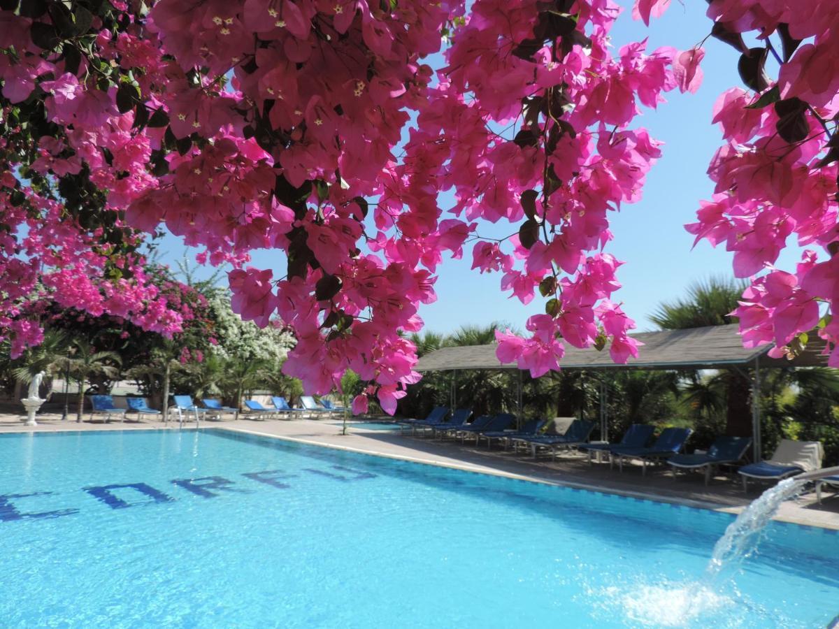 Corfu Hotel Ayia Napa Bagian luar foto